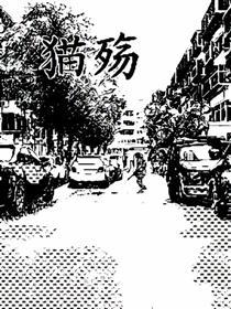 猫殇