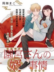 园宫小姐的天降赘婿